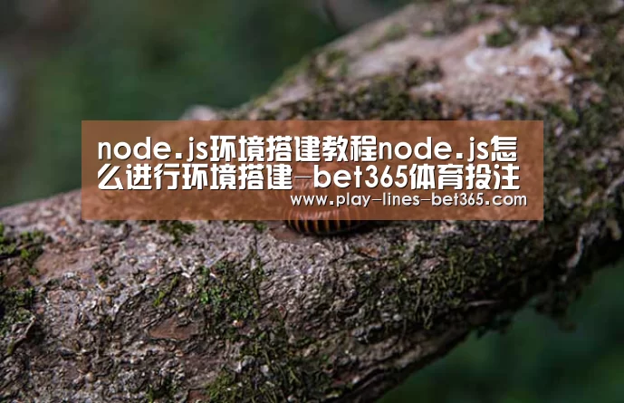 bet365体育官网